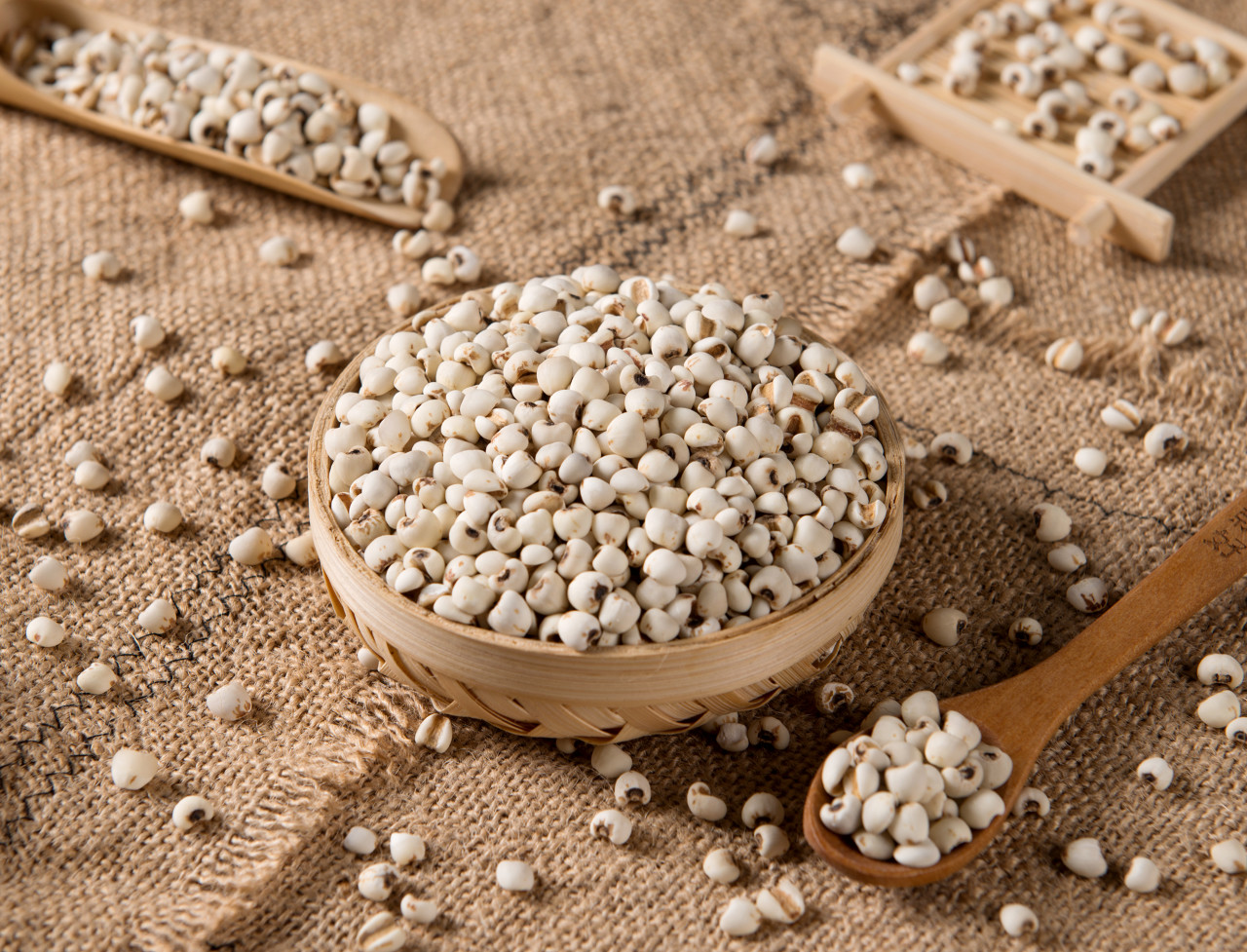 有没有真正祛湿成功的人,谁才是祛湿猛药