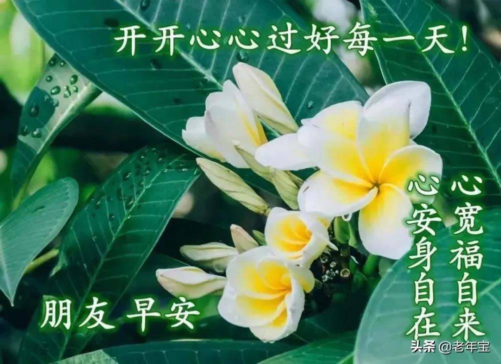 早上好周末愉快问候语动态表情包,周一早上好最新图片表情包