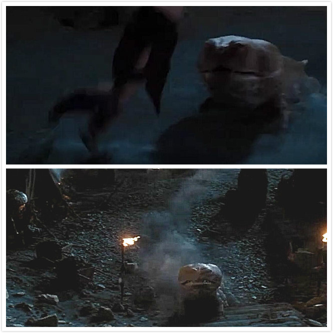 狗狗四个腿各跑各的,外国的狗狗品种