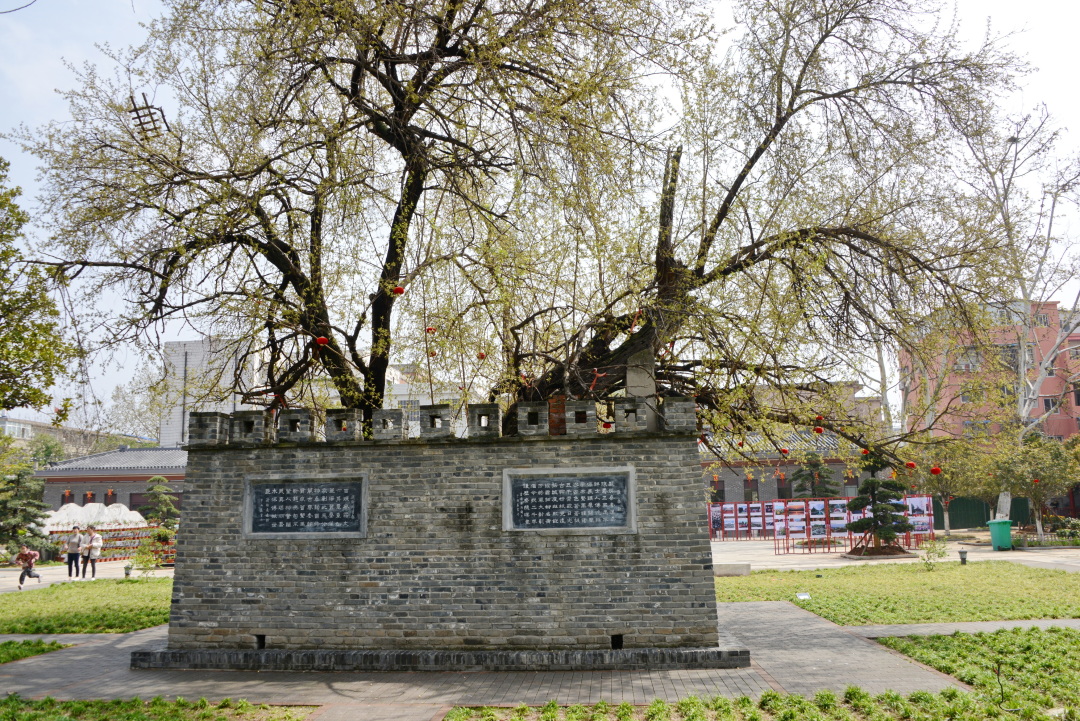 「书院」河南白水书院：墙上历史，石狮楸树韦力撰