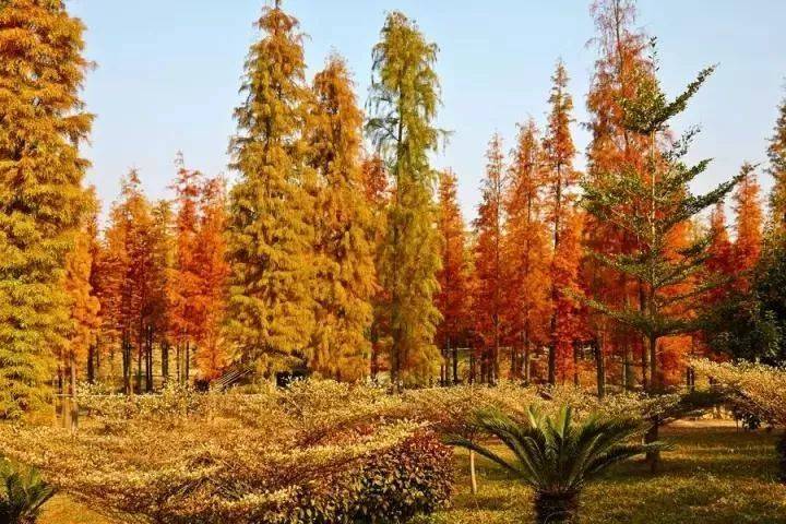 倒数狂欢夜,清远森波拉奇妙世界主题乐园住宿