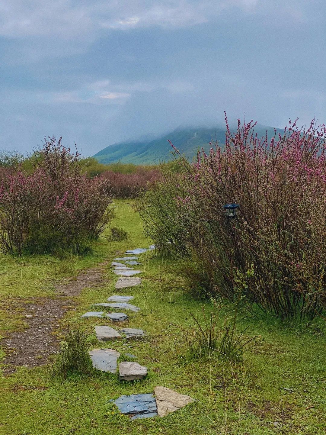 「Norden」草原上的缄默声