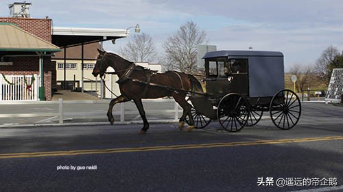 兰卡斯特宾夕法尼亚,兰卡斯特大学lancaster