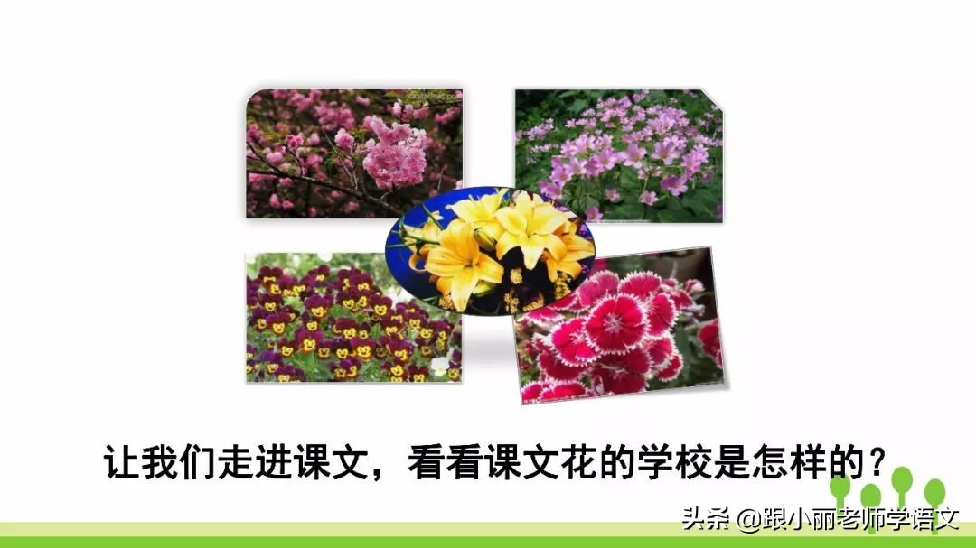 赶紧替孩子保存，复习一定用得上，三上《花的学校》知识点梳理