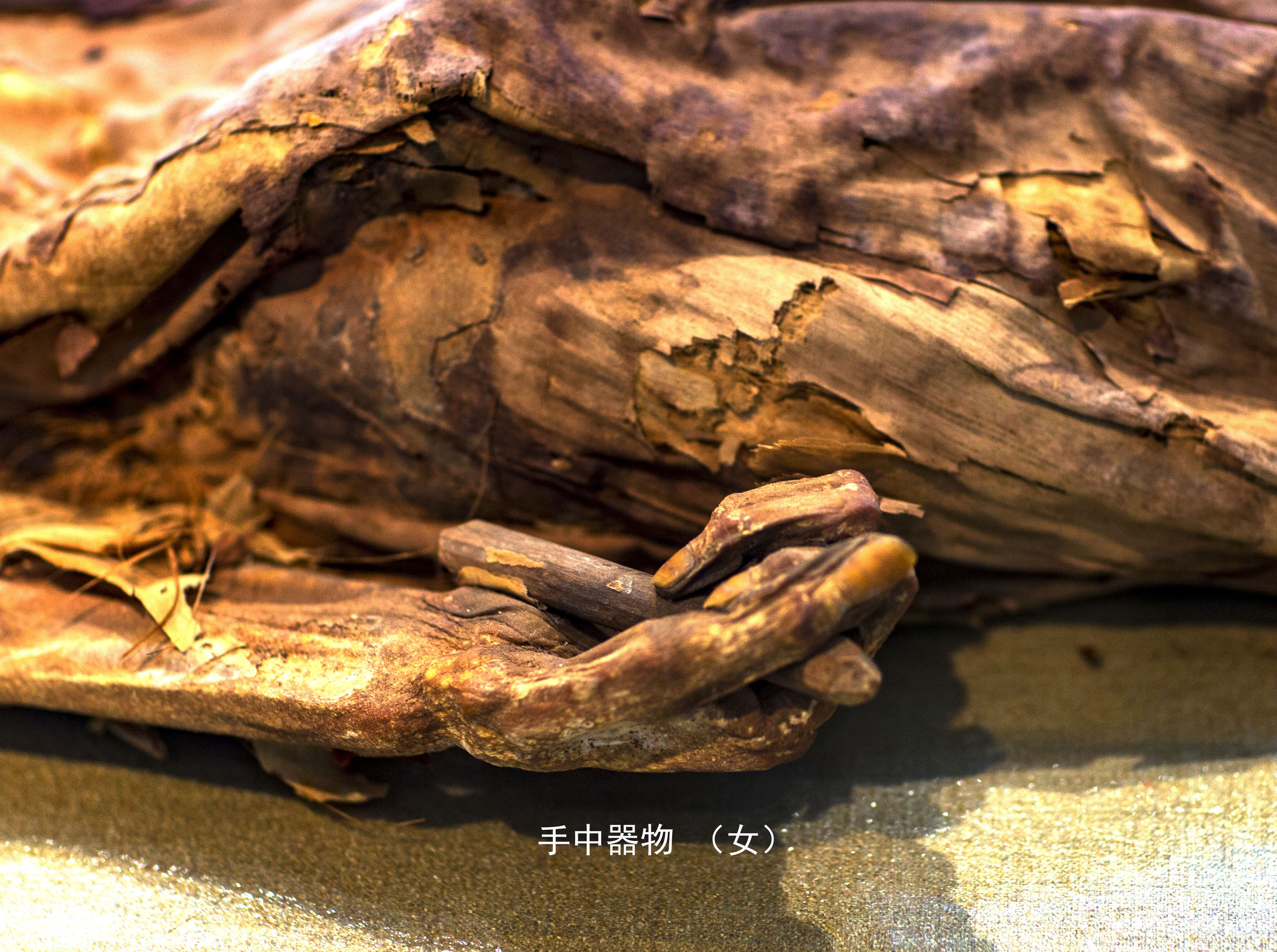 黄沙永恒,黄沙之下永恒的寂静