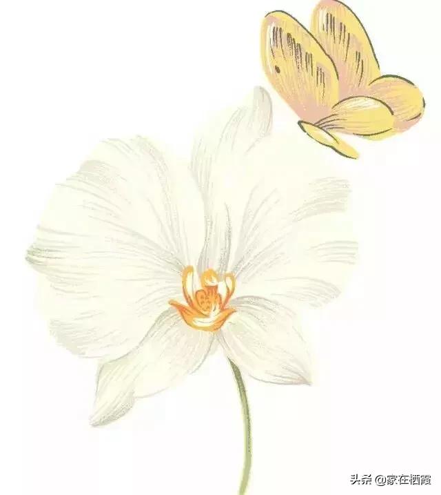 栖霞评为宜居城市,栖霞市地标建筑