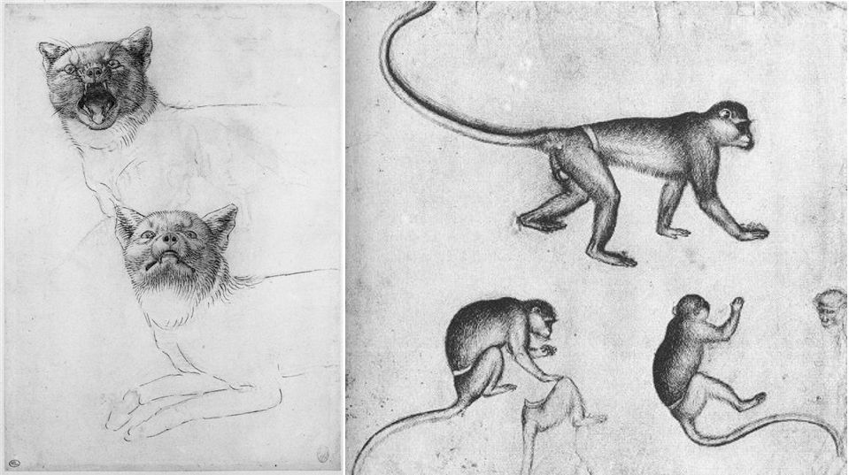 有没有喜欢古钱币的,很喜欢的纪念币