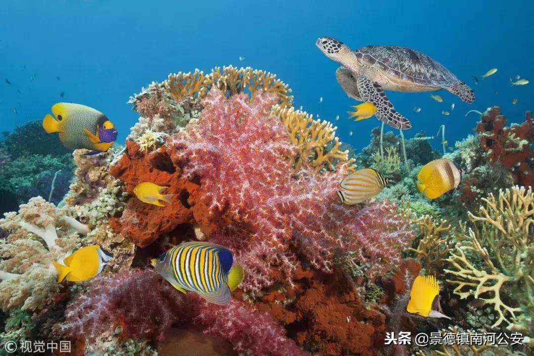 这就是菲律宾,岛上菲律宾