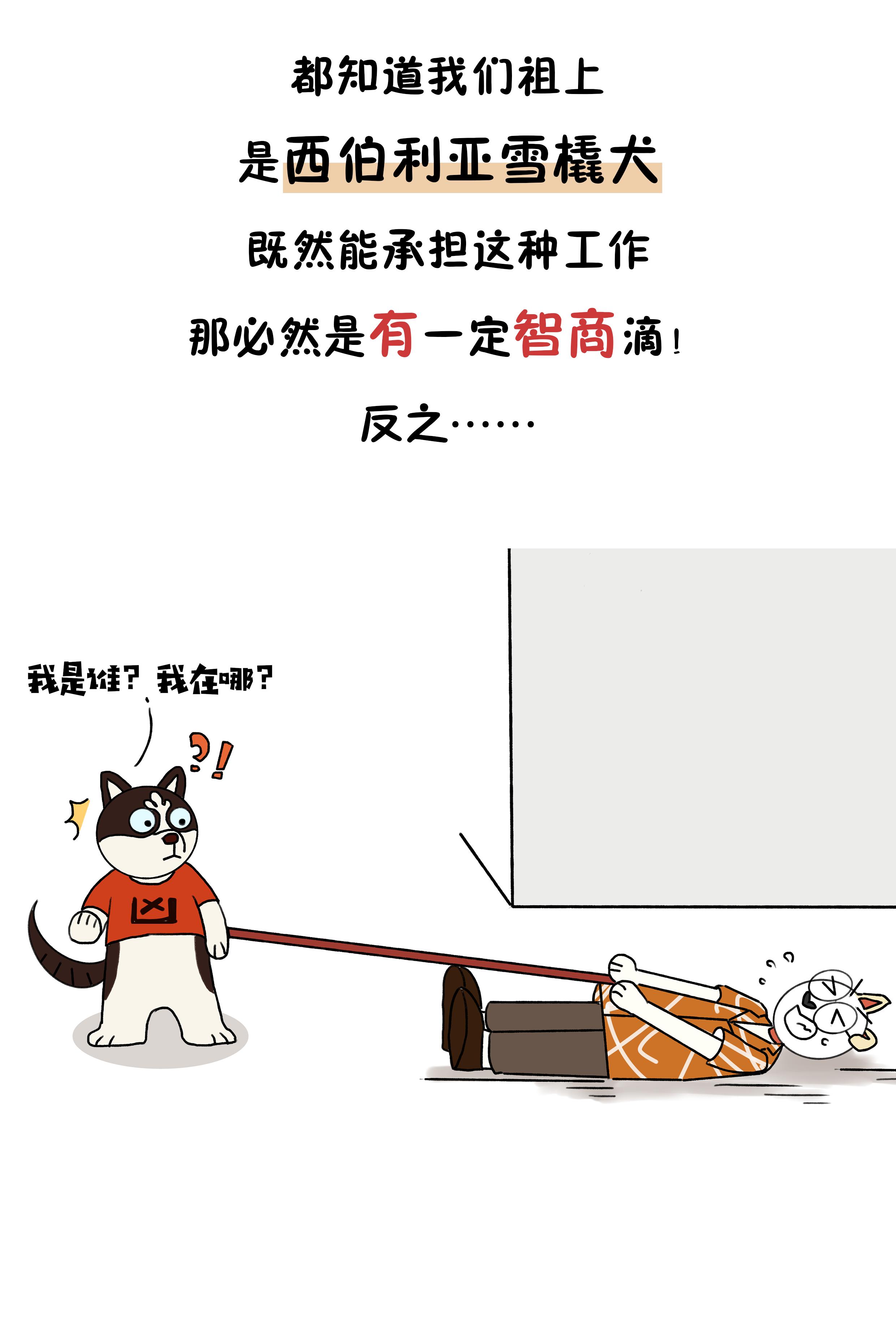 娉ョ煶娴佸搱澹,鍝堝＋濂囨偿鐭虫祦