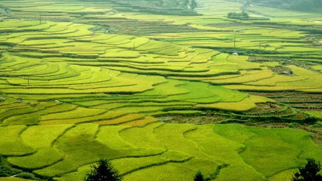 全国十大名茶旅游地,中国十大茶旅