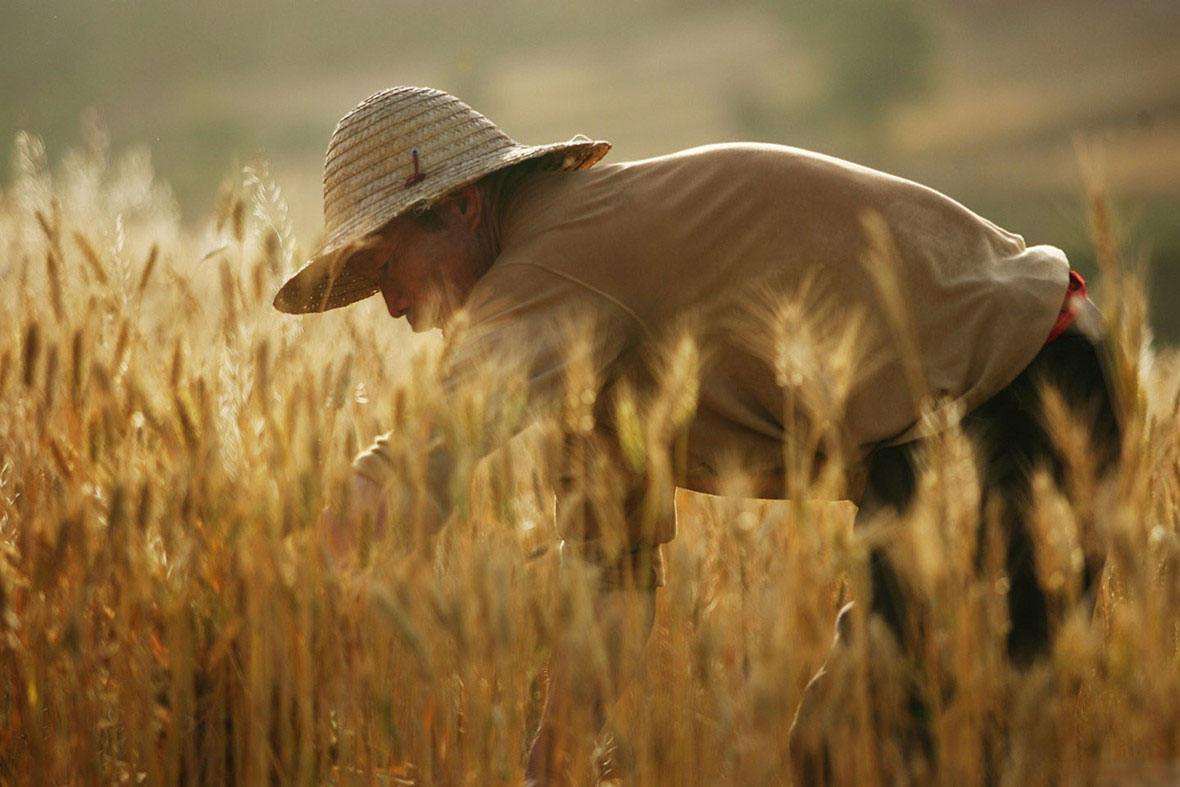 风吹麦浪孙俪李健,李健风吹麦浪原唱