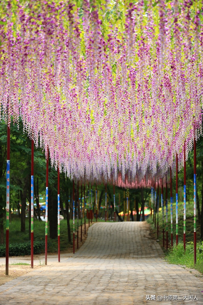 郑州中牟县雁鸣蟹岛,河南郑州市中牟雁鸣蟹岛景区