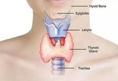 关于女性方面的问题,每个女生都有的问题