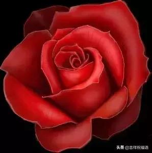 5201314，送你999玫瑰花，祝你爱情甜甜蜜蜜