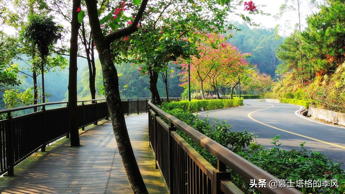 广东宜居城市排名最新排名,广东哪里气候最适合宜居