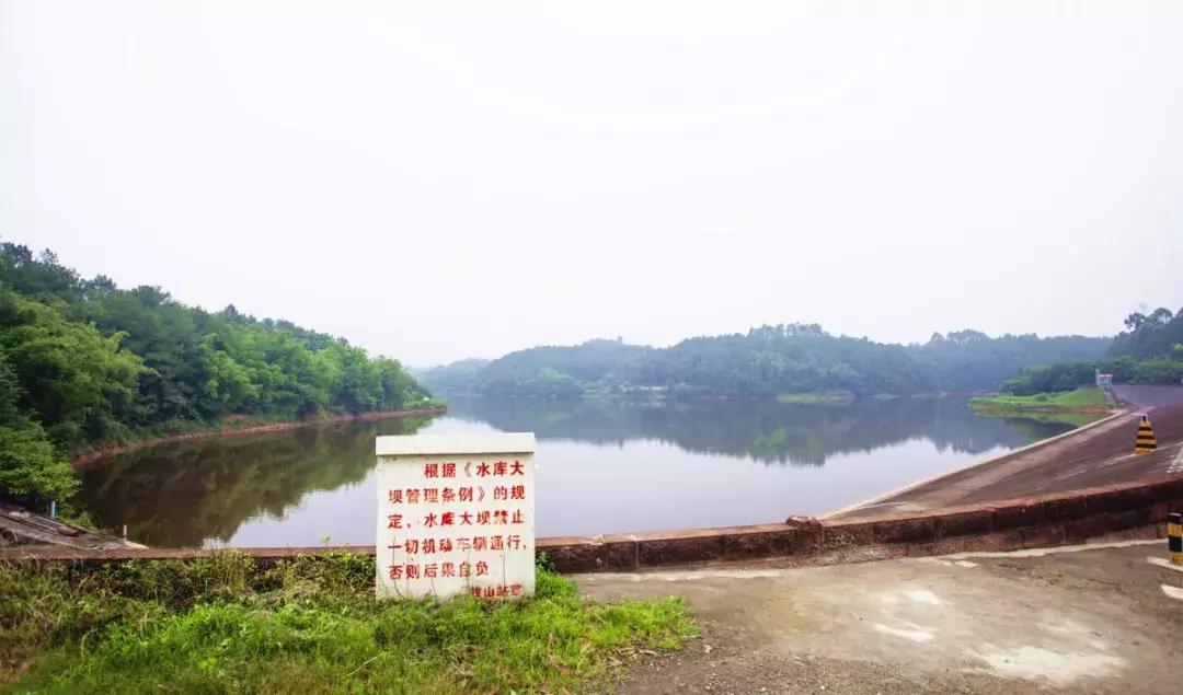 双流竟藏着如此绝美的“秘密公园”，约吗？