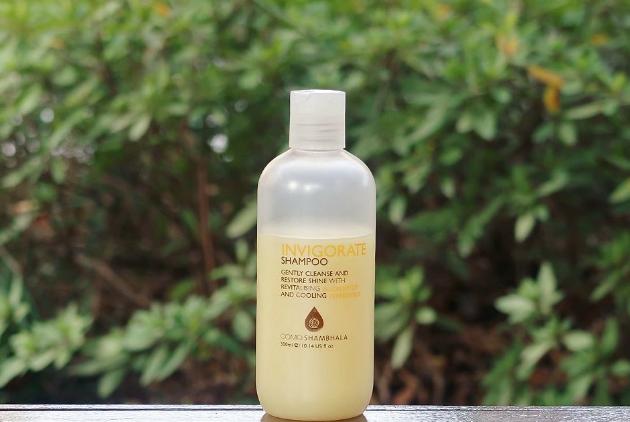 怎么护发才能让头发不干枯毛躁,想要头发变柔顺怎么护理