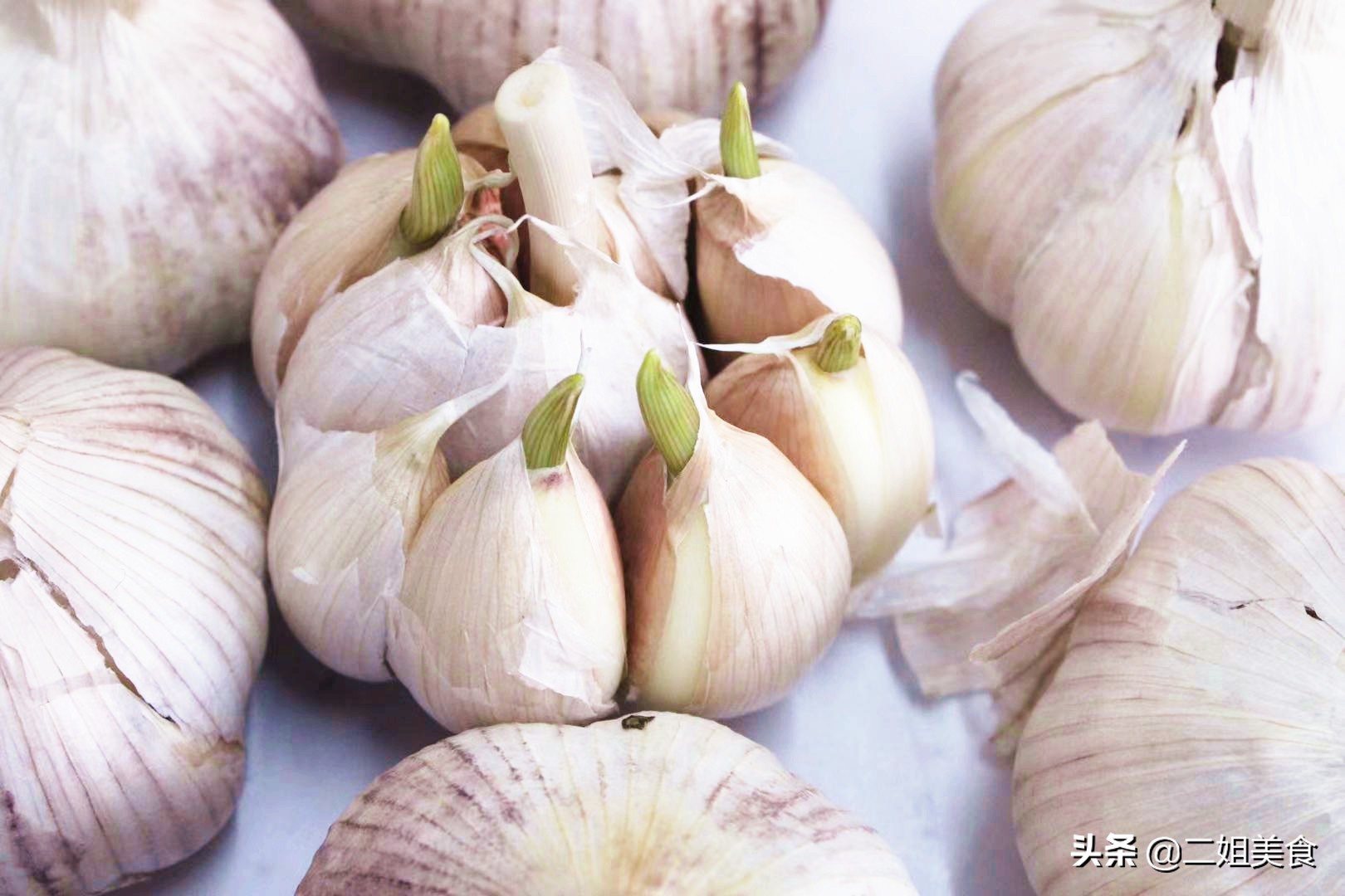 发芽的大蒜别丢,发芽的大蒜先别扔