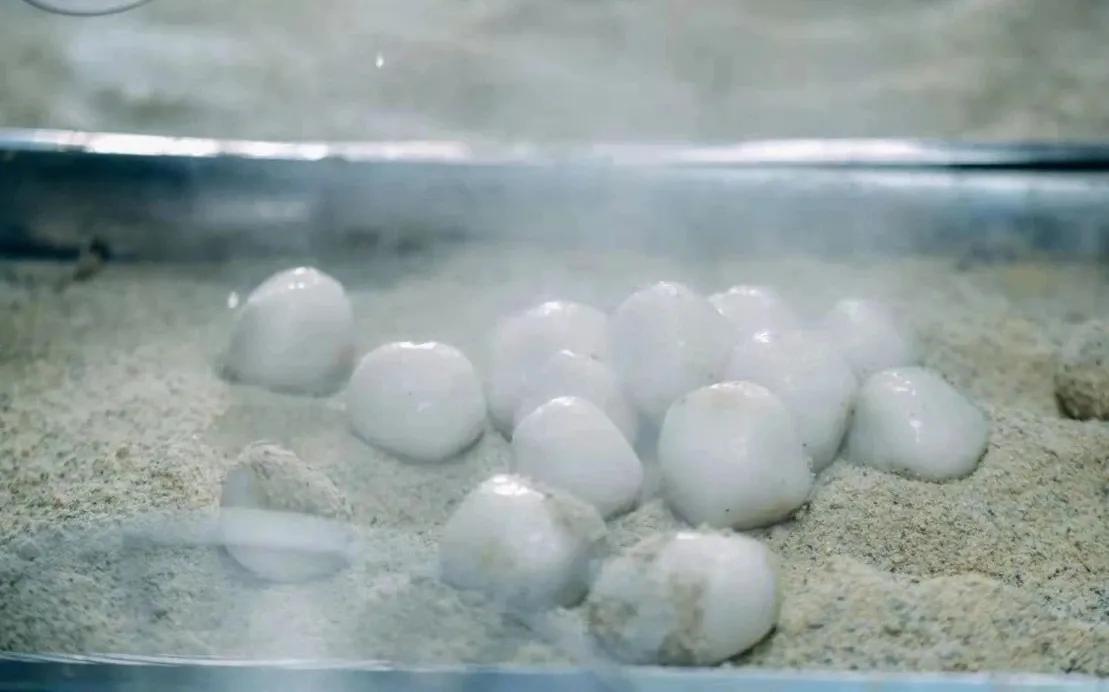 天台嫁女儿风俗,天台县风俗习惯