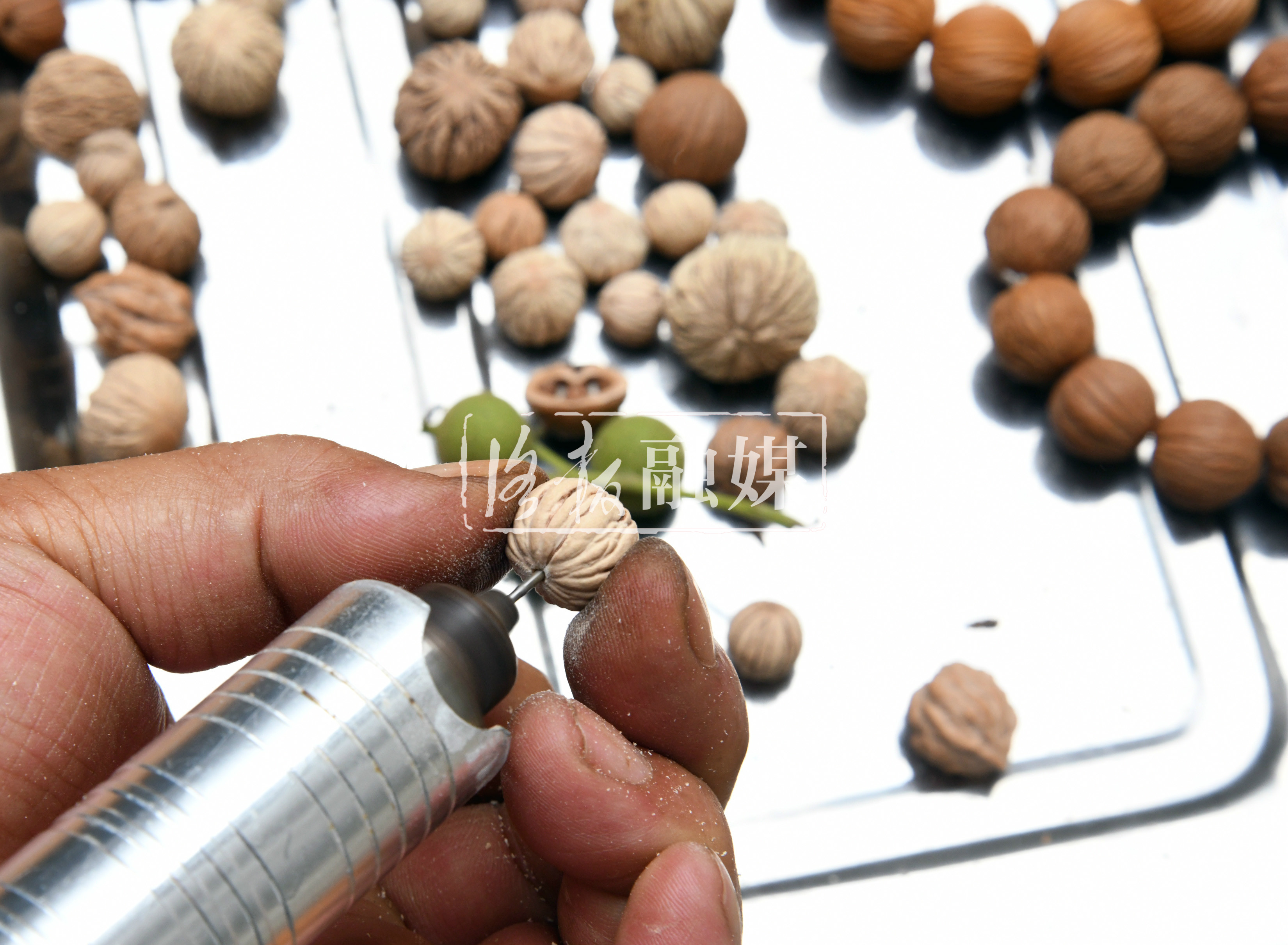 荒山变生态家园,荒山变果园野果成金果