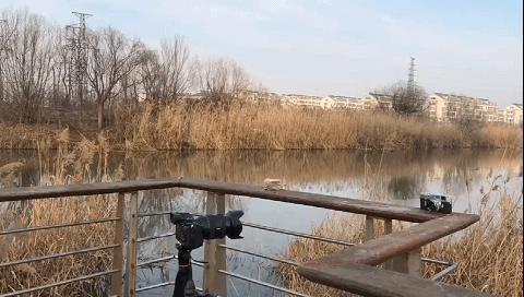 拥有属于自己摇滚的电影—便携式魔爪slypodE电动伸缩摄影杆评测