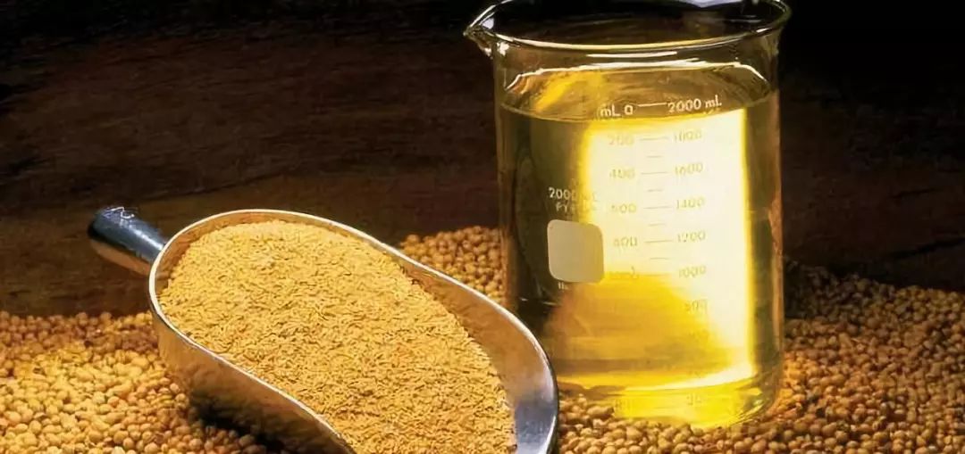 吴洪涛说豆粕淡旺季,期货豆粕吴洪涛