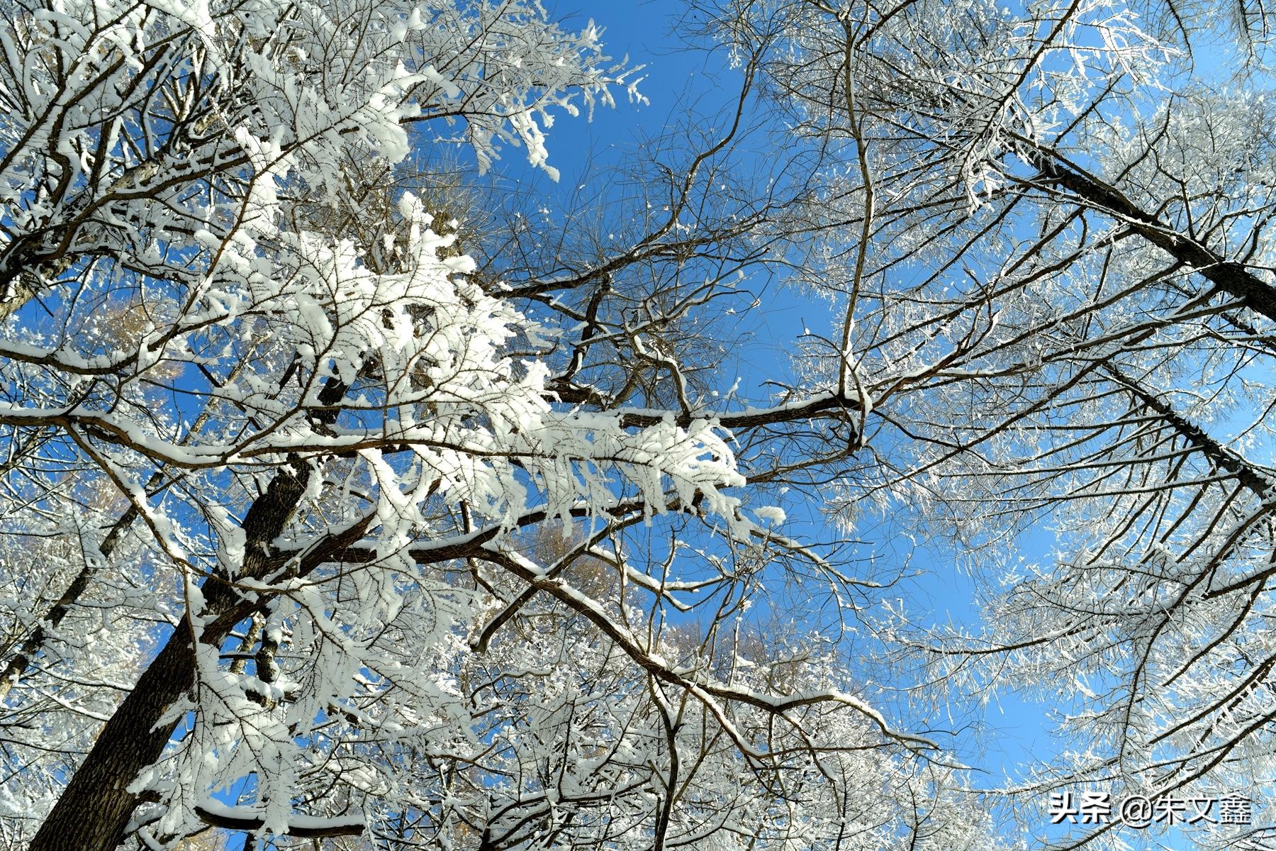吉林柳河下雪,吉林省通化市柳河