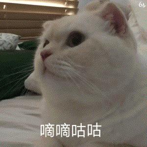 剑侠情缘3剑网三,剑侠情缘剑网3