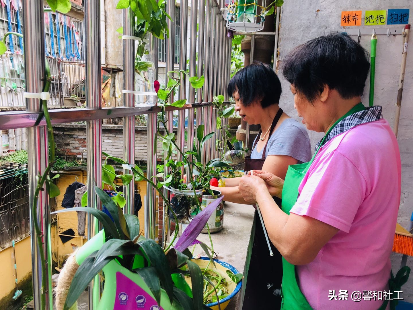 OHTRC精品实操课程||园艺疗法活动设计与评估