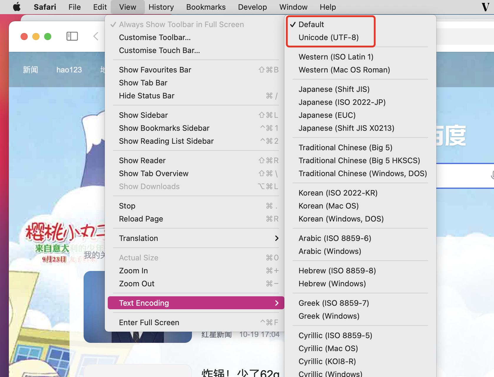 safari浏览器卡顿怎么解决,safari浏览器乱码