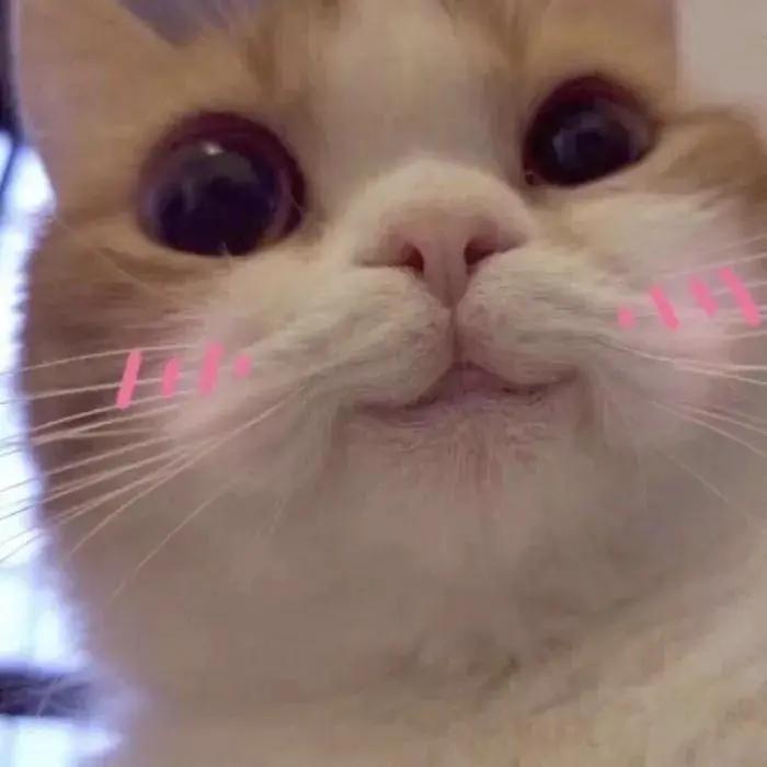 hmzara优衣库的打折季,优衣库zarahm怎么选择