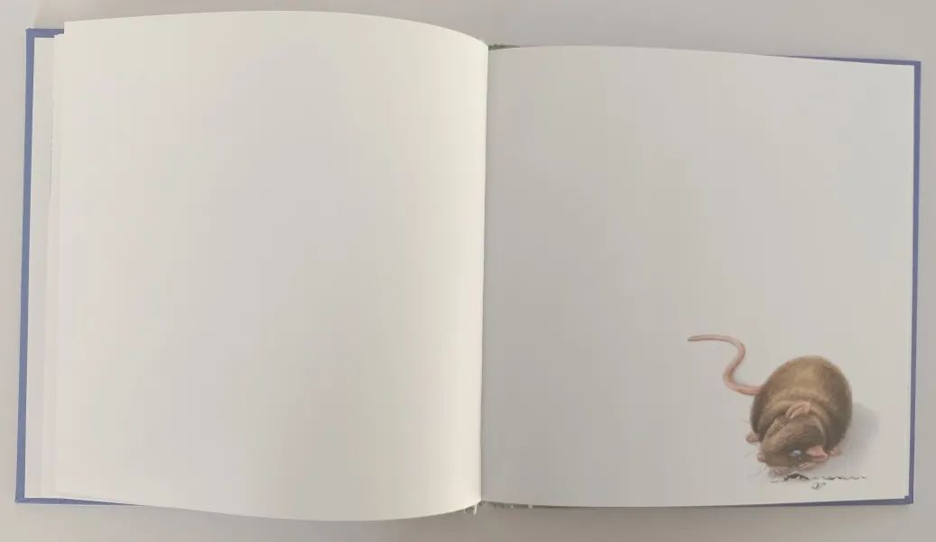 无字绘本老鼠,绘本懒惰小老鼠是怎么介绍的