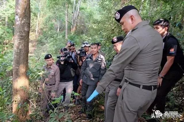 泰国打击象牙交易见成效，被CITES移出严重国家名单