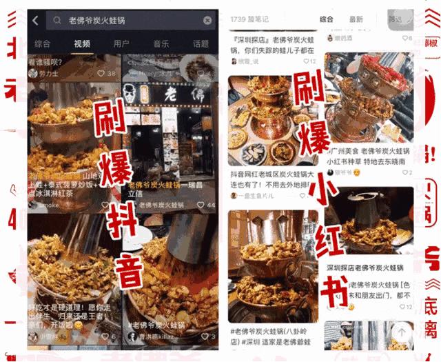 周末好吃的食材打卡,周末打卡美食分享