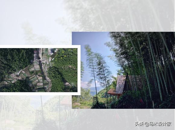 森迪部落树屋酒店,浙江树屋酒店