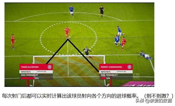 德甲球迷避免打架指南：人工智能告诉你，足球到底进不进？