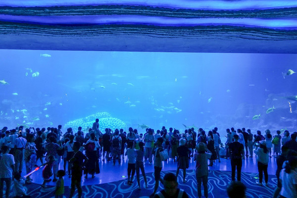 珠海长隆旅游攻略一天自由行,珠海长隆旅游攻略三天自由行