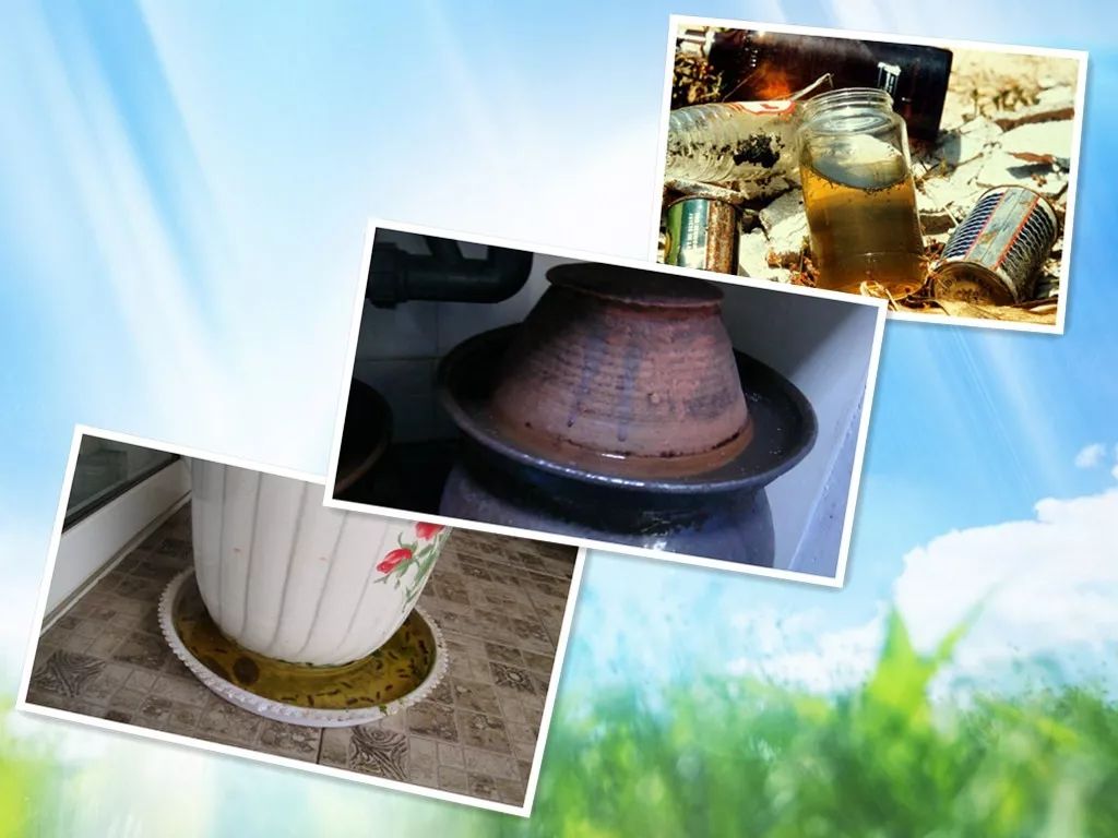 防治蚊虫最好的方法,消灭登革热蚊子用什么药