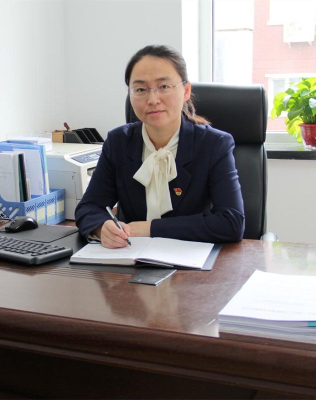 美丽迎春花开了,迎春花盛开的绝美春日盛景