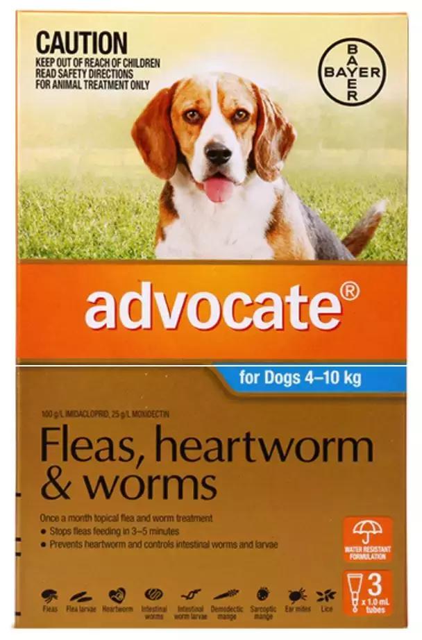 狗狗体外驱虫药都有哪些,狗狗体外驱虫药怎么选择