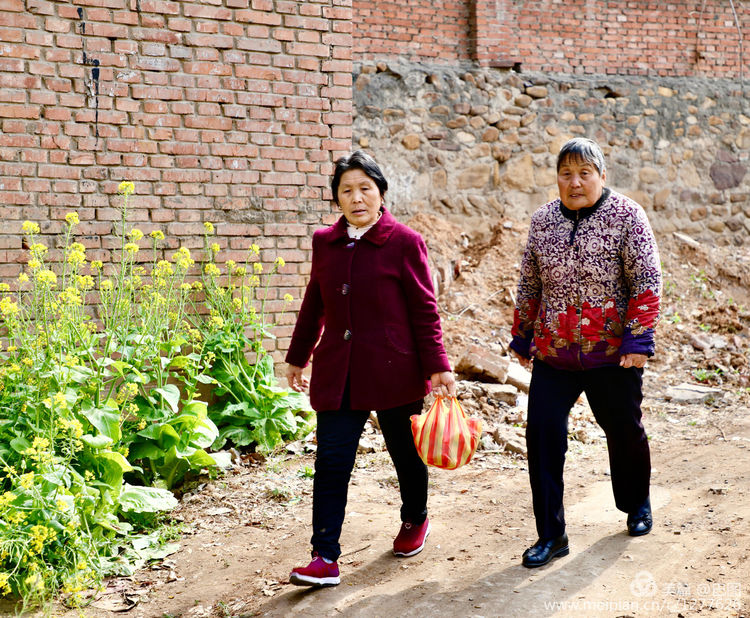 曾经的新安小香港,今日物是人非,探访洛阳水泥厂工人村