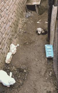 开心图文高清图片,开心图文原创