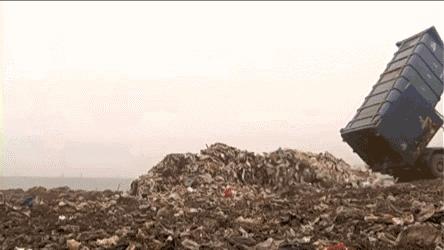 全国人民看江浙沪,上海垃圾分类现在怎样了