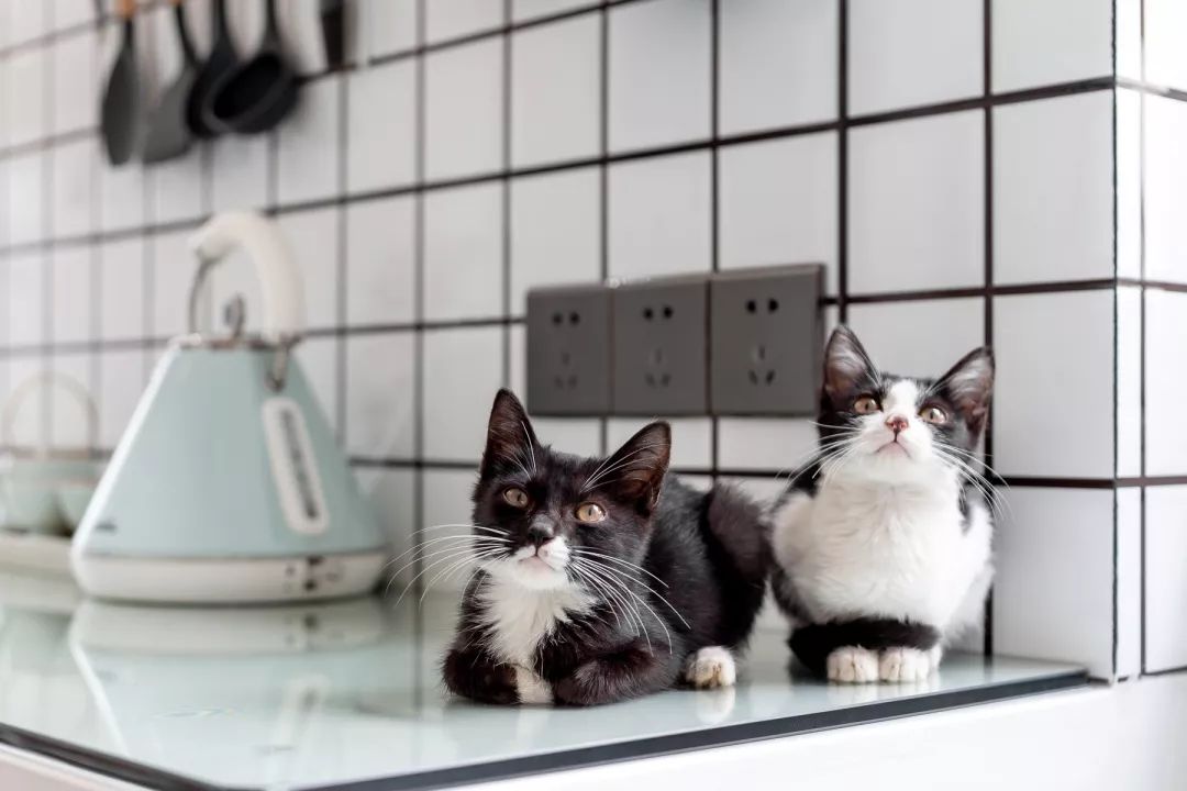 古城浴缸民宿,十大浴缸民宿排名