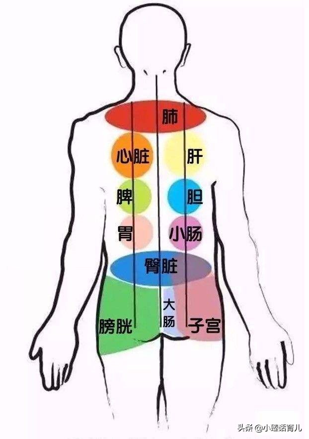 增强肺部功能，孩子少生病，中医教你如何补肺，提高免疫力