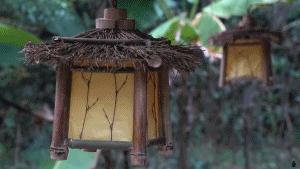 爷爷版李子柒视频评价,农村小伙子李子柒视频