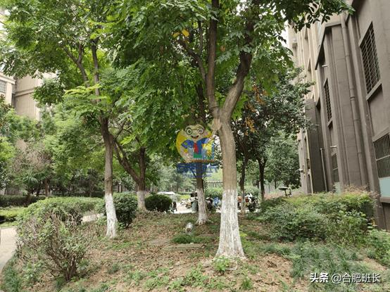 御湖观邸解析,御湖观邸房子质量怎么样