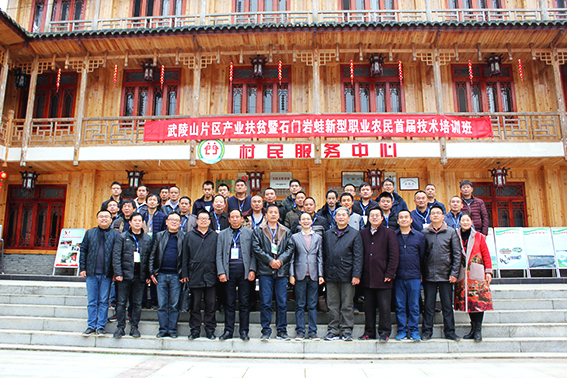 石门岩蛙价格表,石门岩蛙最新信息