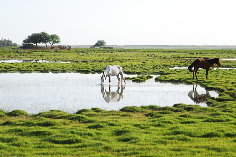 罗布泊无人区死亡之海以前的样子,新疆罗布泊死亡之海可以怎么去