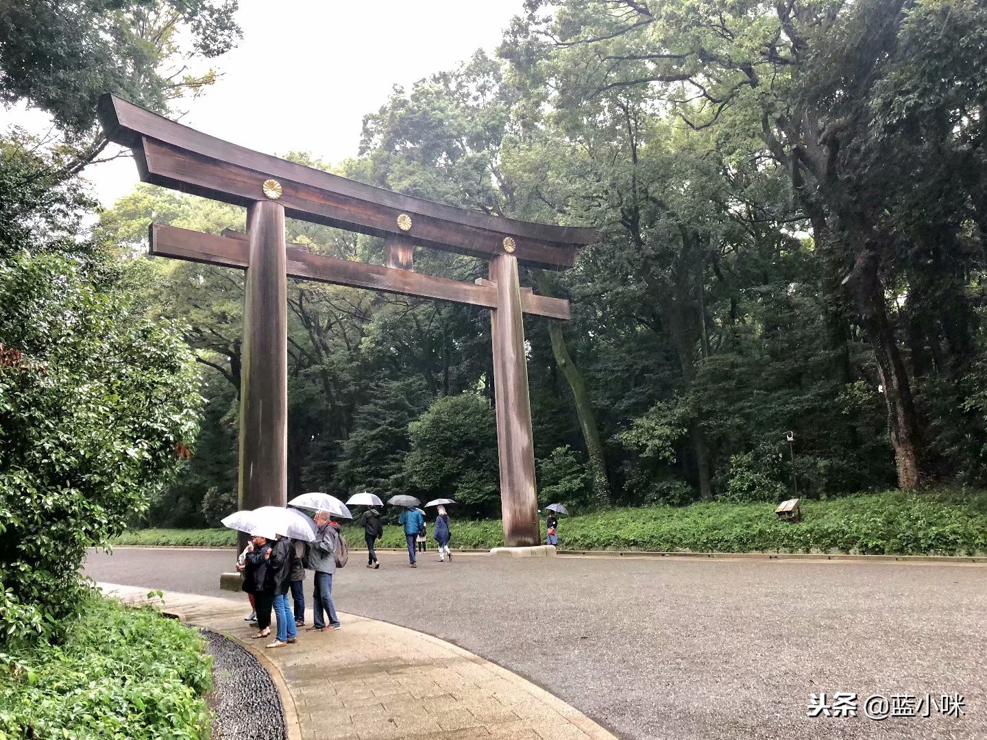 东京富士山镰仓一日游,东京旅游攻略镰仓一日游